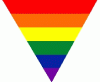 rainbow triangle